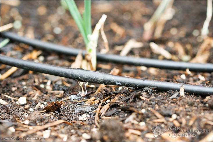 Зимний сад в частном доме своими руками