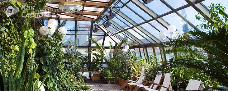 Зимний сад в частном доме своими руками