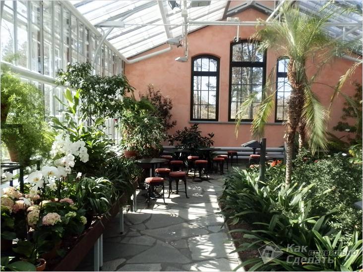 Зимний сад в частном доме своими руками