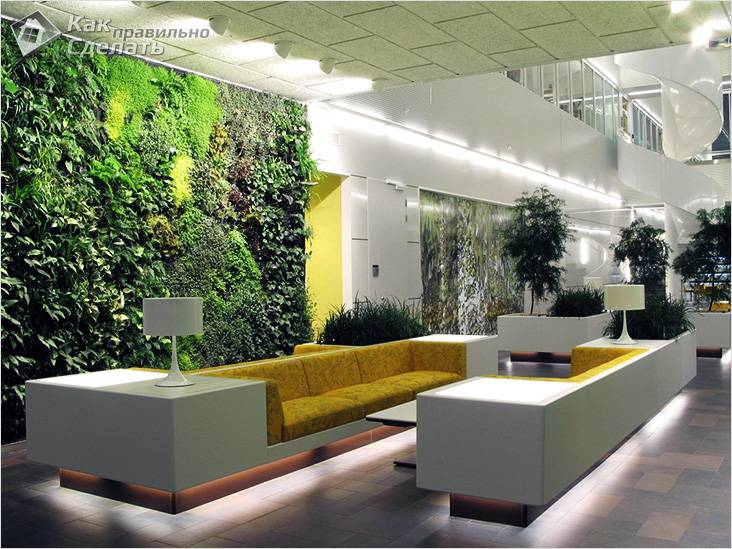 Зимний сад в частном доме своими руками