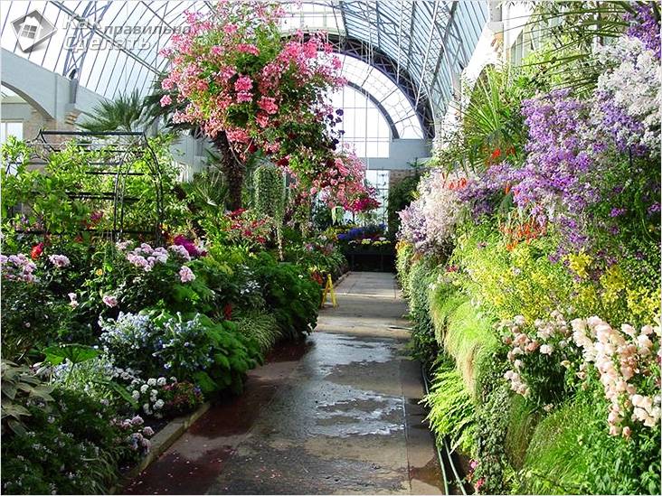 Зимний сад в частном доме своими руками