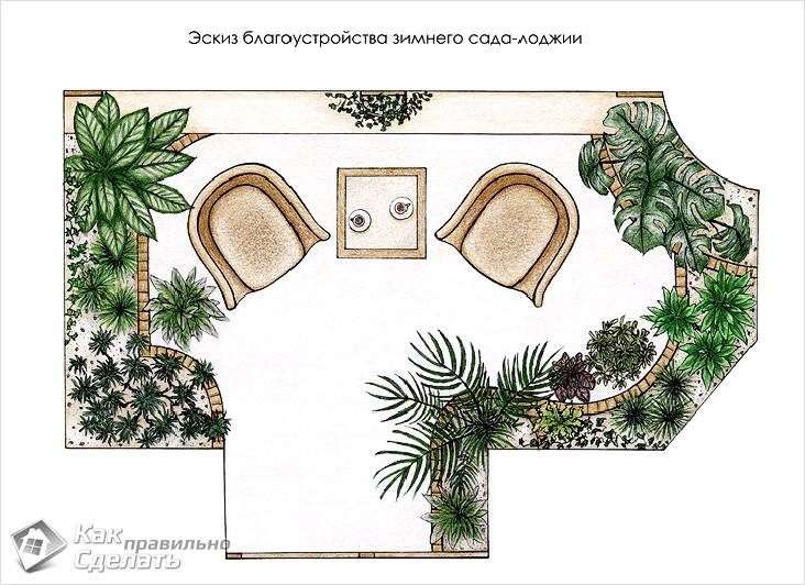 Зимний сад в частном доме своими руками