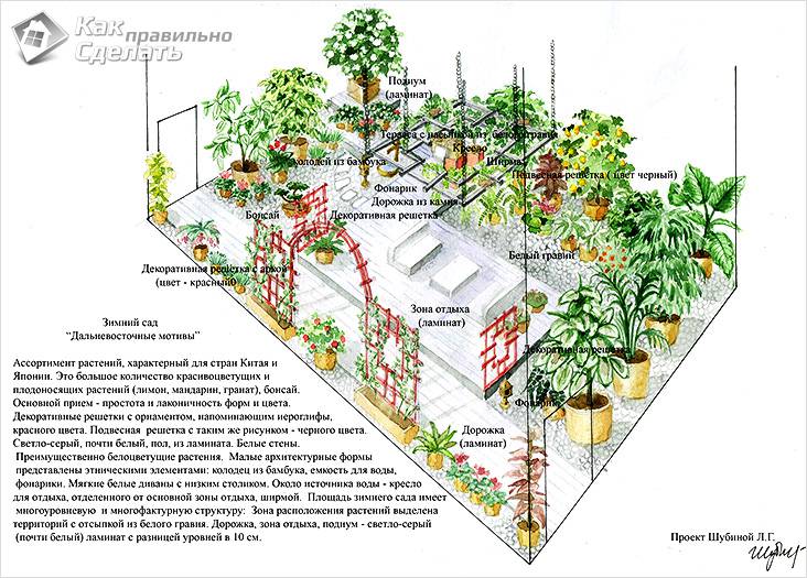 Зимний сад в частном доме своими руками