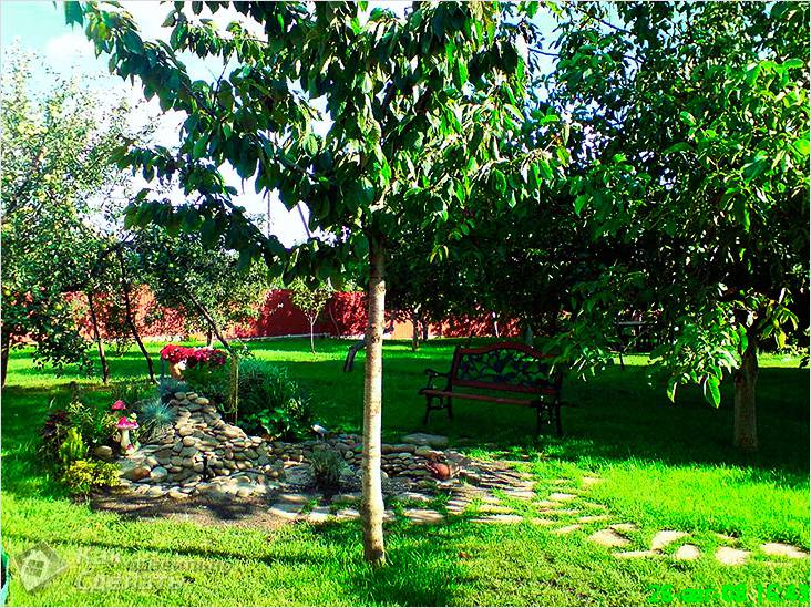 Зонирование земельного участка