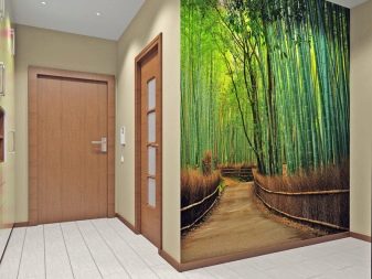 Шпалери в коридор, передпокій (121 фото): дизайн шпалер, вибір в передпокій з темними і світлими дверима, миються сірі і смугасті, білі і зелені шпалери в інтер’єрі