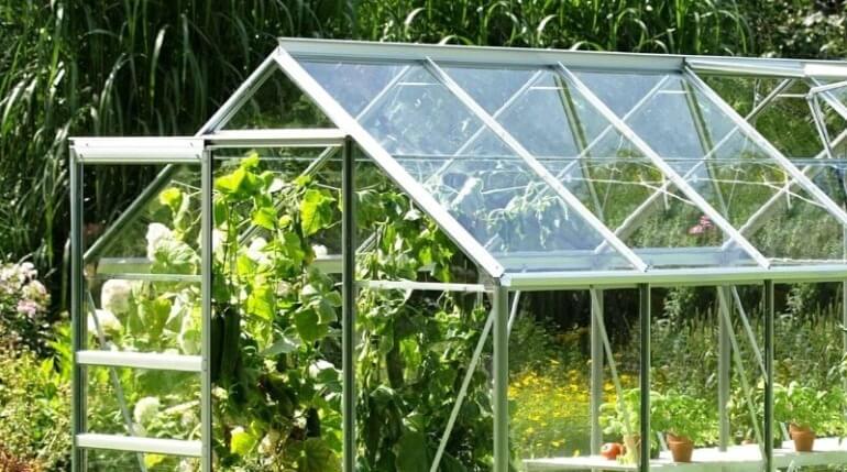теплиця полікарбонат