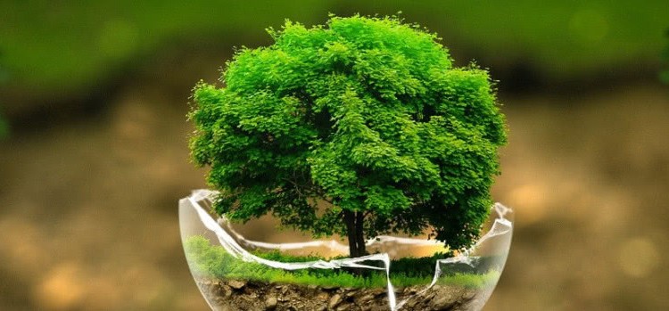 Экологическая бытовая химия для дома — это безопасно и эффективно