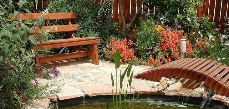 Як самостійно зробити ставок на дачі