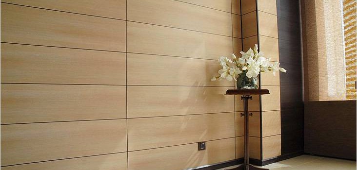 Монтаж стінових панелей своїми руками Монтаж стінових панелей своїми руками