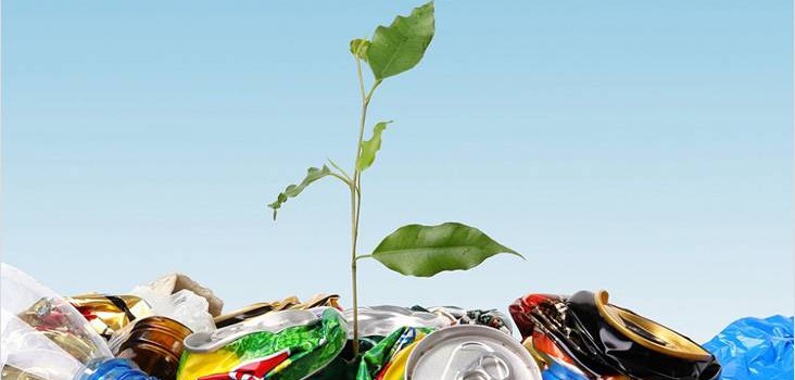 Необхідність отримання паспорти на відходи та особливості процесу паспортизації