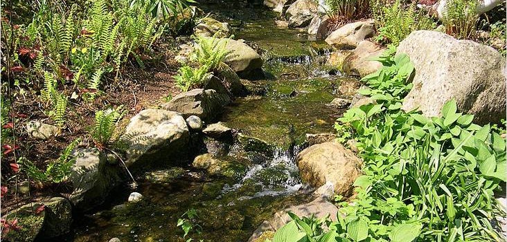 Планування дачної ділянки