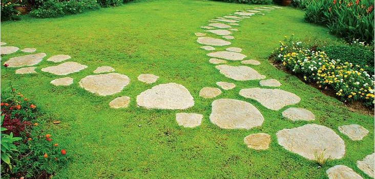 Стежка на дачі своїми руками