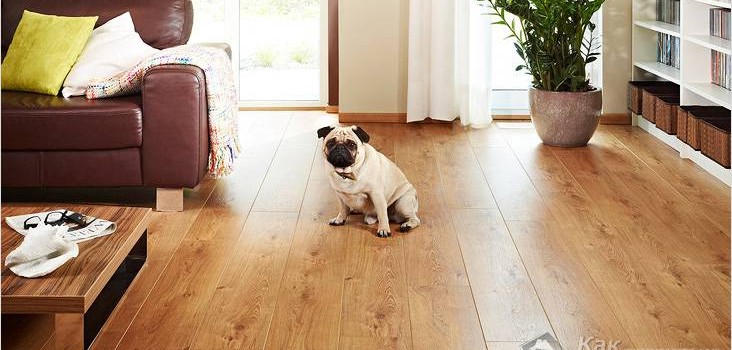 Догляд за ламінатом в квартирі: поради професійних домогосподарок