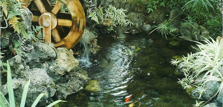 Водойма на дачній ділянці