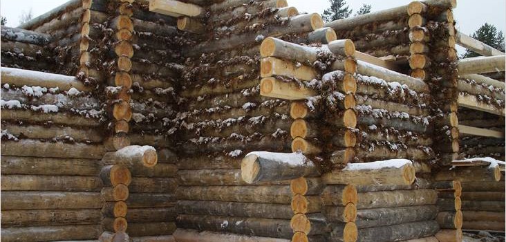 Закладення швів в дерев’яних будинках Закладення швів в дерев’яних будинках