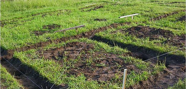 Заливка фундаменту своїми руками Заливка фундаменту своїми руками