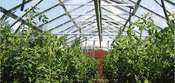 Зимова теплиця своїми руками: види опалення