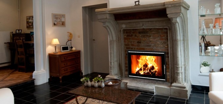 Дверцы для каминов: виды и правила выбора декоративных печных фасадов