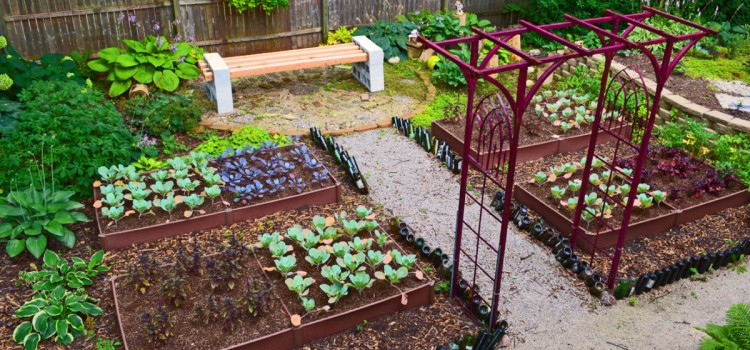 Товары для сада и огорода: только самое необходимое для успешного садовода