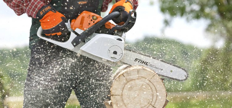 Бензопила: основные секреты успешного выбора