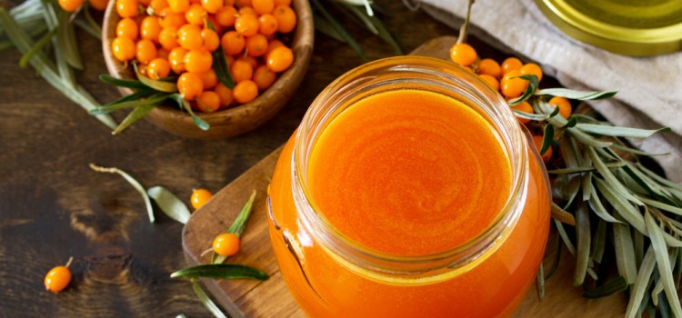 Саженцы облепихи: правила ухода, обрезки и размножение культуры